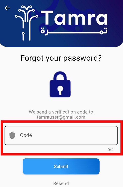 Verification Code - Application